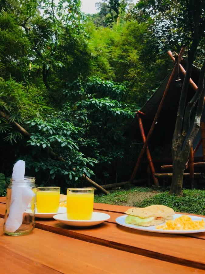 Bambu Glamping Ecolodge Медельїн Екстер'єр фото