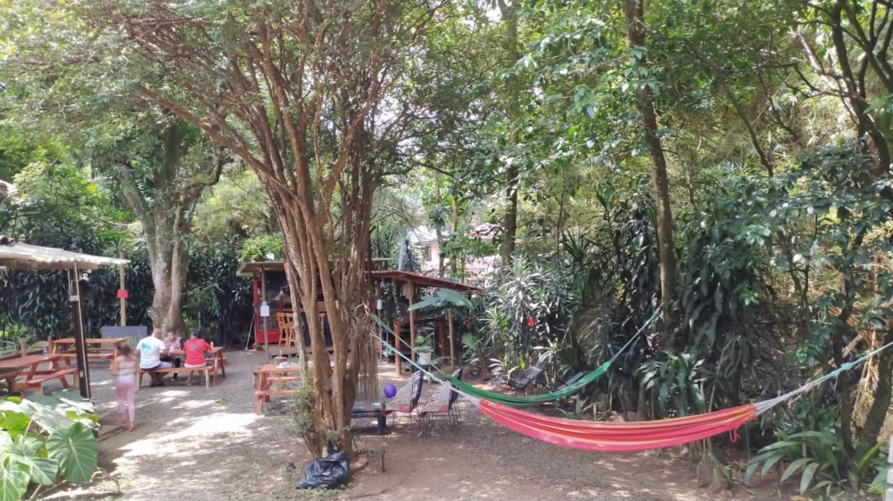 Bambu Glamping Ecolodge Медельїн Екстер'єр фото