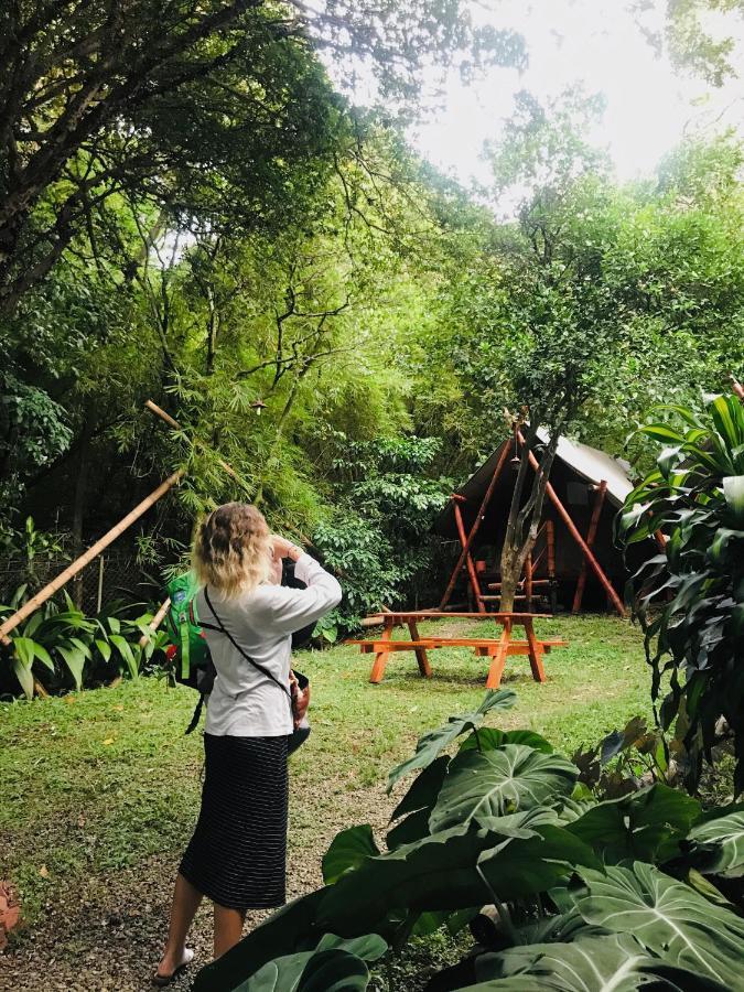Bambu Glamping Ecolodge Медельїн Екстер'єр фото