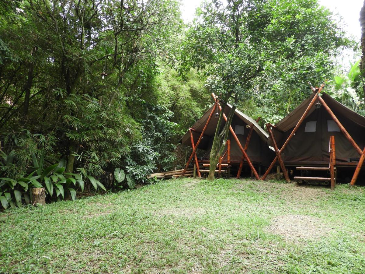 Bambu Glamping Ecolodge Медельїн Екстер'єр фото